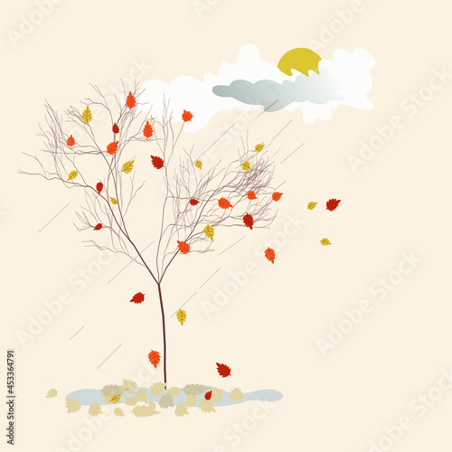 Autumn tree with falling leaves. Autumn landscape with a rain cloud in the sky.