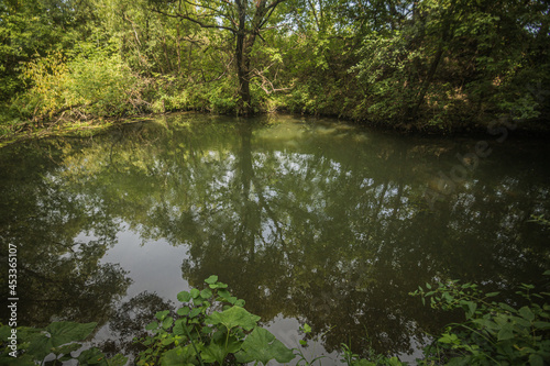 Bolshoy Chembar River in summer