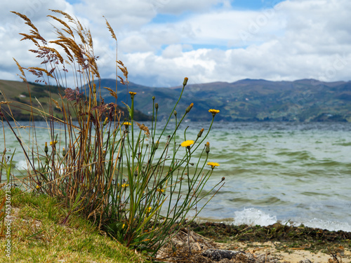 beautiful landscape in the lagoon of tota Aquitania, Boyaca, Colombia