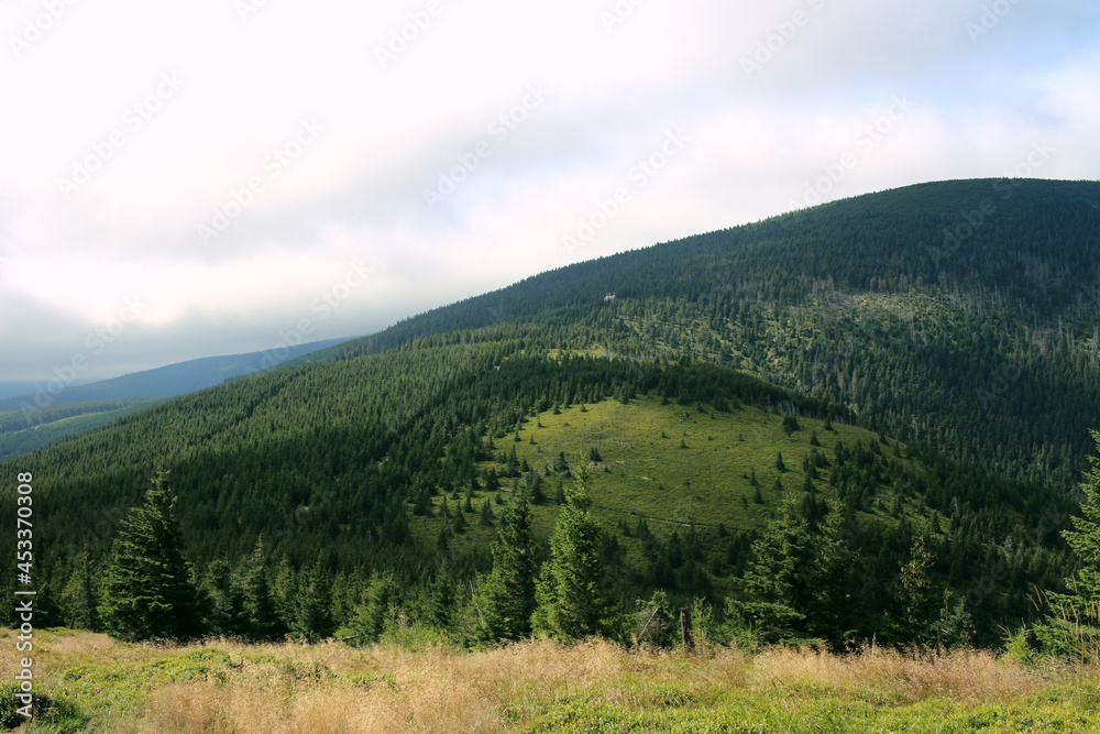 Karkonosze in the summer. View of the mountains covered with green trees. Thick clouds over the mountains. Karkonosze National Park Karkonosze in the summer. View of the mountains covered with green trees. Thick clouds over the mountains. Karkonosze National Park