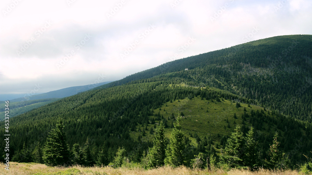 Karkonosze in the summer. View of the mountains covered with green trees. Thick clouds over the mountains. Karkonosze National Park 