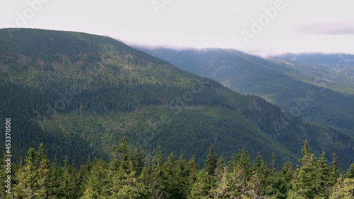 Karkonosze in the summer. View of the mountains covered with green trees. Thick clouds over the mountains. Karkonosze National Park © Adam