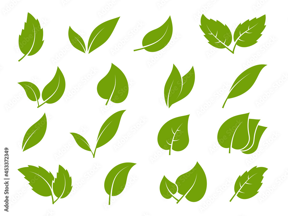 Leaves icons. Young green leaves trees and plants various shapes, herbal tea leaf eco, bio foliage landscaping environment vector set - obrazy, fototapety, plakaty 