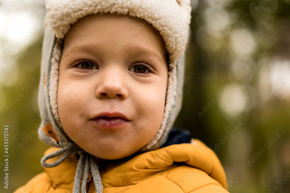 Close Up Portrait Of Little Cute Preschool Minor Boy In Hat With Ear Flaps And Orange Jacket Nice Smiling Looking At Camera In Cold Weather In Fall Park. Childhood, Family, Motherhood, Autumn Concept Close Up Portrait Of Little Cute Preschool Minor Boy In Hat With Ear Flaps And Orange Jacket Nice Smiling Looking At Camera In Cold Weather In Fall Park. Childhood, Family, Motherhood, Autumn Concept