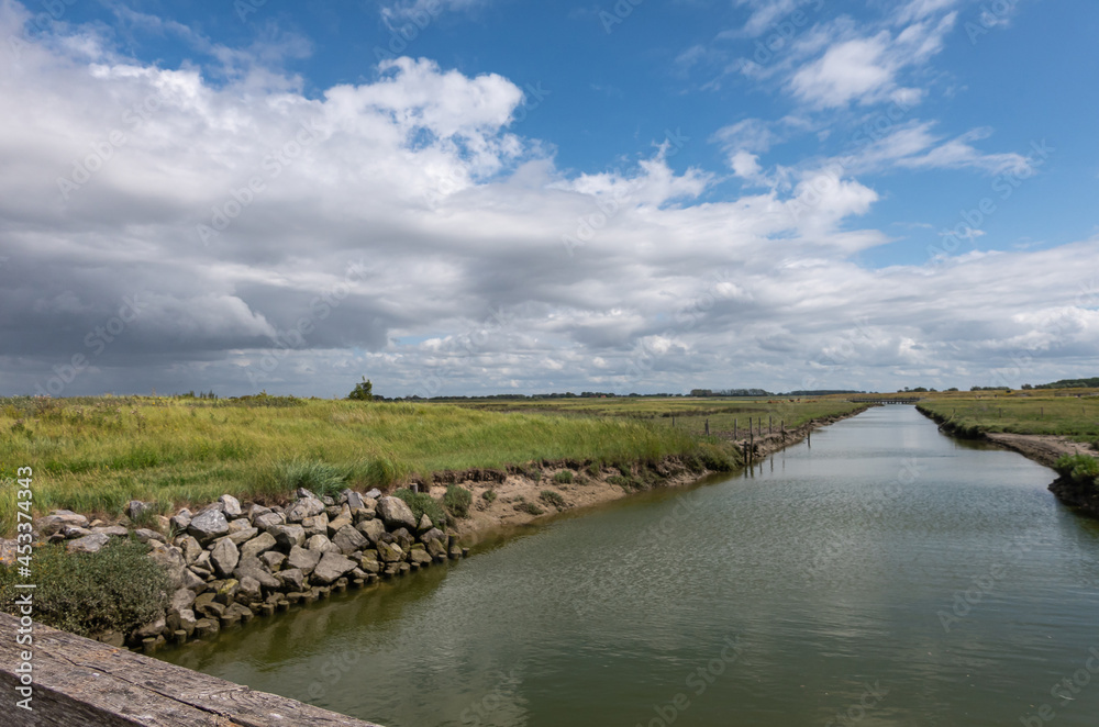 Knokke-Heist, Flanders, Belgium - August 6, 2021: Zwin Nature Reserve. Flat green landscape with backbone greenish salt water creek under blue cloudscape. 