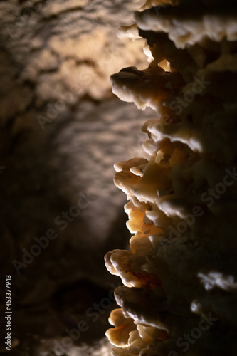 Caves of stalagmites and stalactites