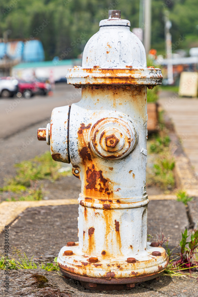 Rusted fire hydrant in the town of Garibaldi, Oregon.