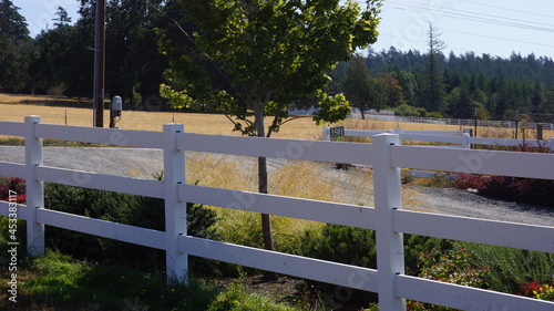 San Juan Island