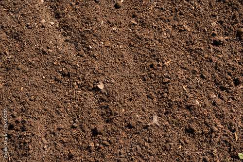 Soil background. Closeup view of fertile land. 