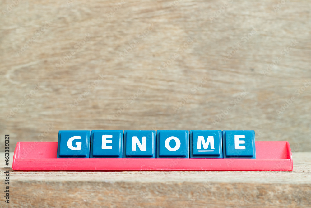 Tile alphabet letter with word genome in red color rack on wood background Tile alphabet letter with word genome in red color rack on wood background
