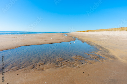 Low tide pools on sandy beach