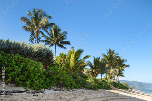 Beach along the Pacific ocean on Oahu Island in Hawaii.