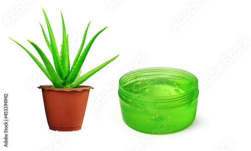 Isolated aloe vera gel on a white background is ideal for presentations.
