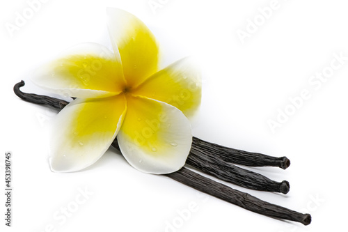 Tahitian vanilla pods and flower