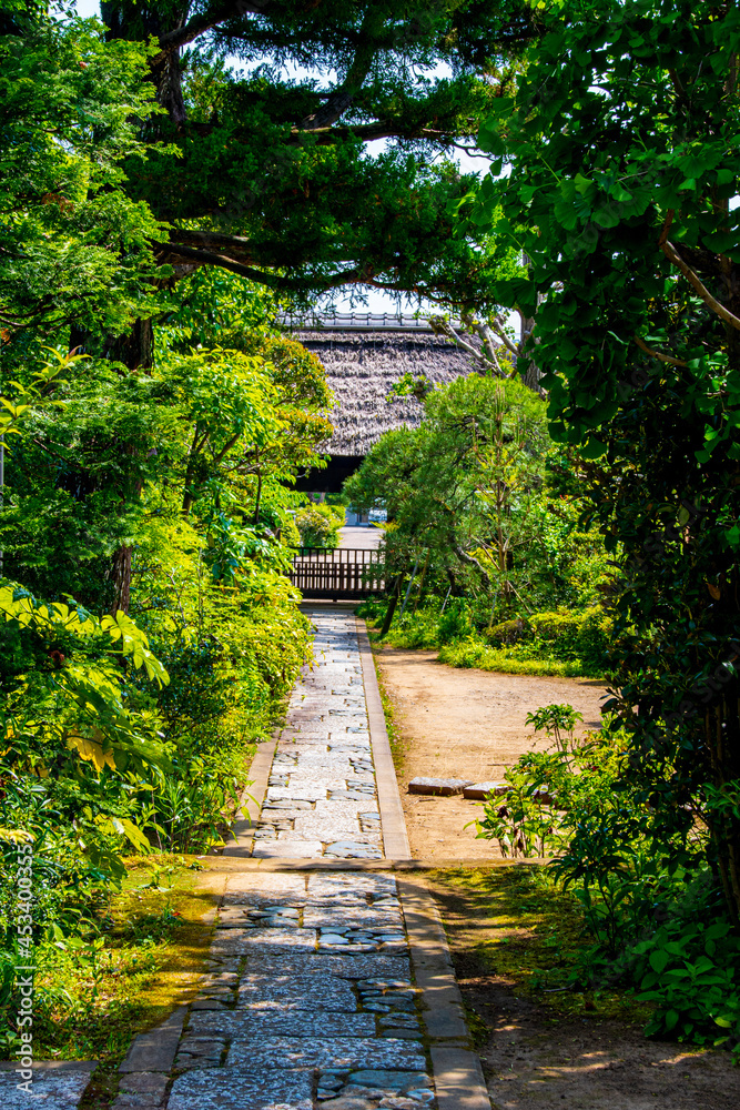 path in the park