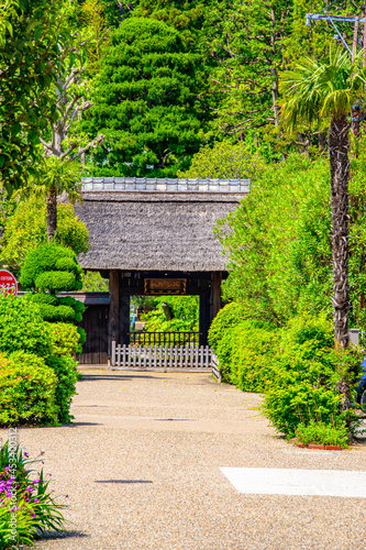 japanese garden