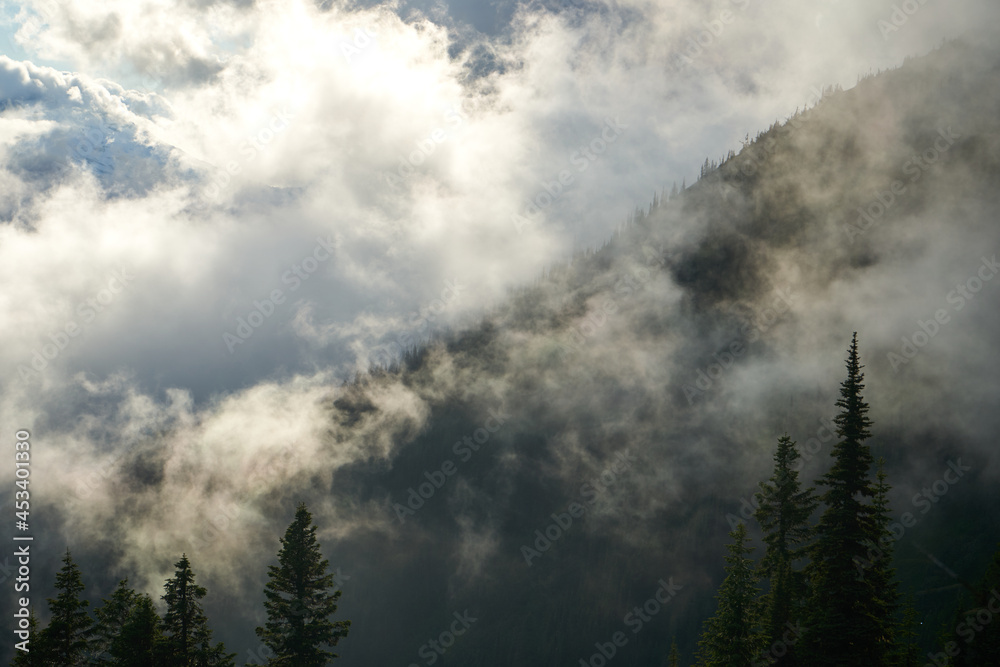 Sunny Fog Sunny Fog