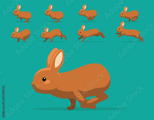 Animal Animation Sequence Rabbit Thrianta Cartoon Vector