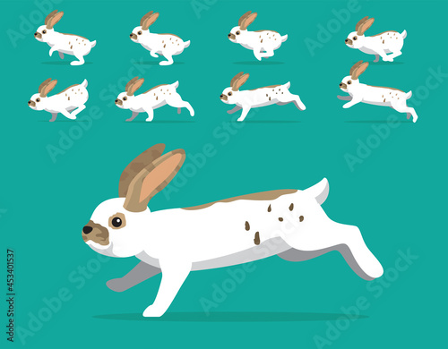 Animal Animation Sequence Rabbit Rhinelander Cartoon Vector photo