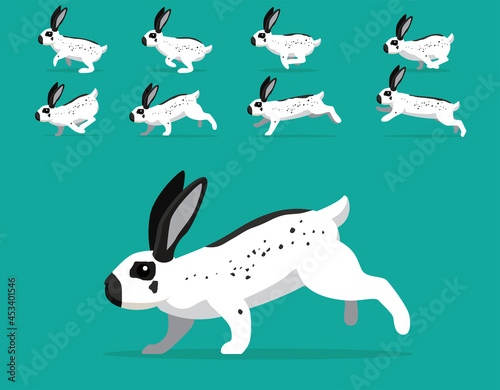 Animal Animation Sequence Rabbit English Spot Cartoon Vector