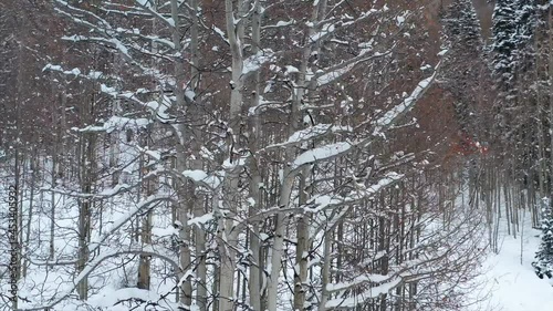 Aerial over snow frosted, winter landscapes.
