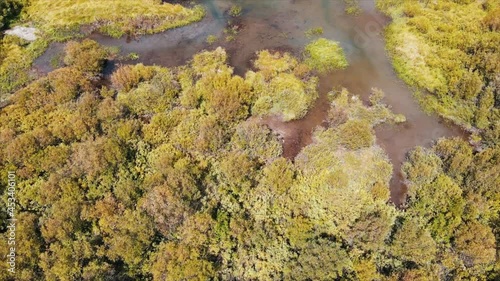 Aerial over the rocky mountains, Aspen Colorado. 