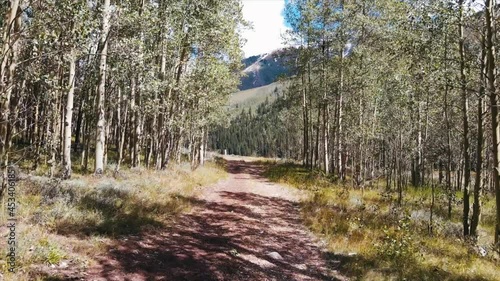 Hiking trail POV through the trees and into meadow.