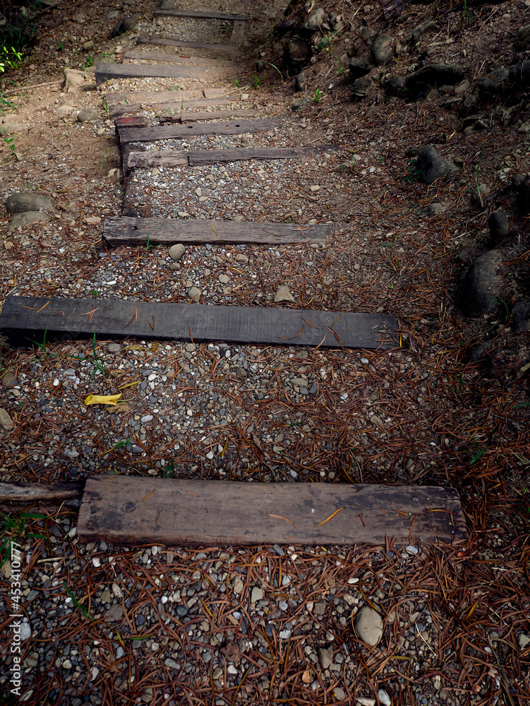 a path with steps of wooden blocks holding soil in place a path with steps of wooden blocks holding soil in place