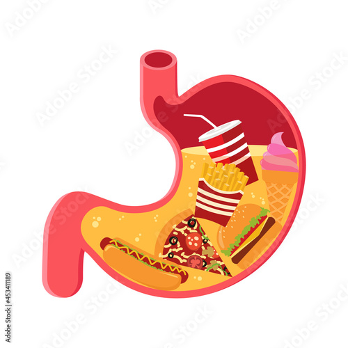 Stomach filled full by fast food cartoon vector illustration