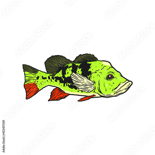 fish design illustration vector tempalte, design elemet for logo, poster, card, banner, emblem, t shirt. Vector illustration photo