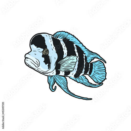 fish design illustration vector tempalte, design elemet for logo, poster, card, banner, emblem, t shirt. Vector illustration