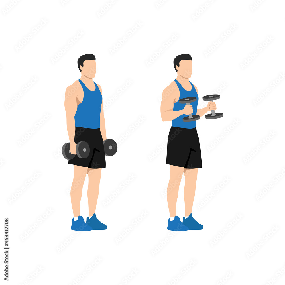 Man doing standing dumbbell bicep hammer curls. Flat vector illustration isolated on different layer. Workout character