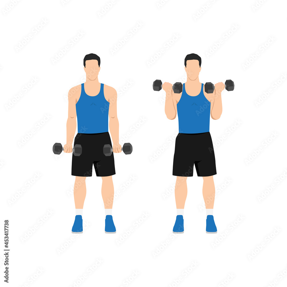 Man doing standing dumbbell bicep curls. Flat vector illustration isolated on different layers. Workout character