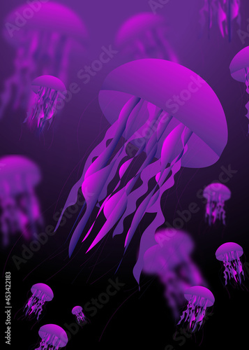 Jellyfish wallpaper. Migration of jellyfish. Purple jellyfish/