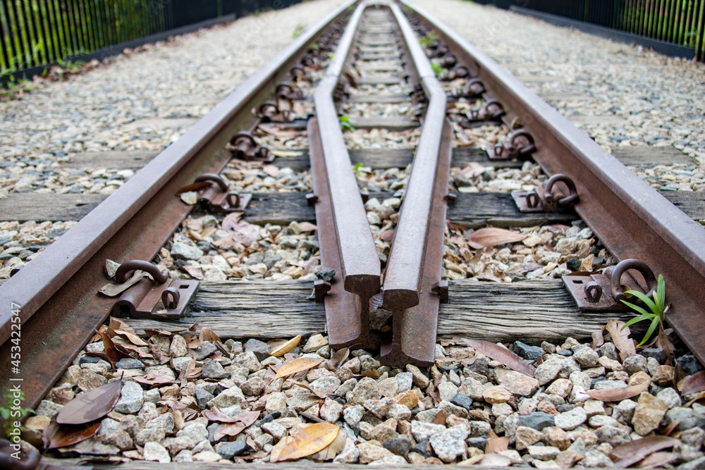the Rail Corridor of Singapore close to Bukit Timah Forest Reserve. he railway line was used for commuting and transporting goods between Singapore and Malaysia. the Rail Corridor of Singapore close to Bukit Timah Forest Reserve. he railway line was used for commuting and transporting goods between Singapore and Malaysia.