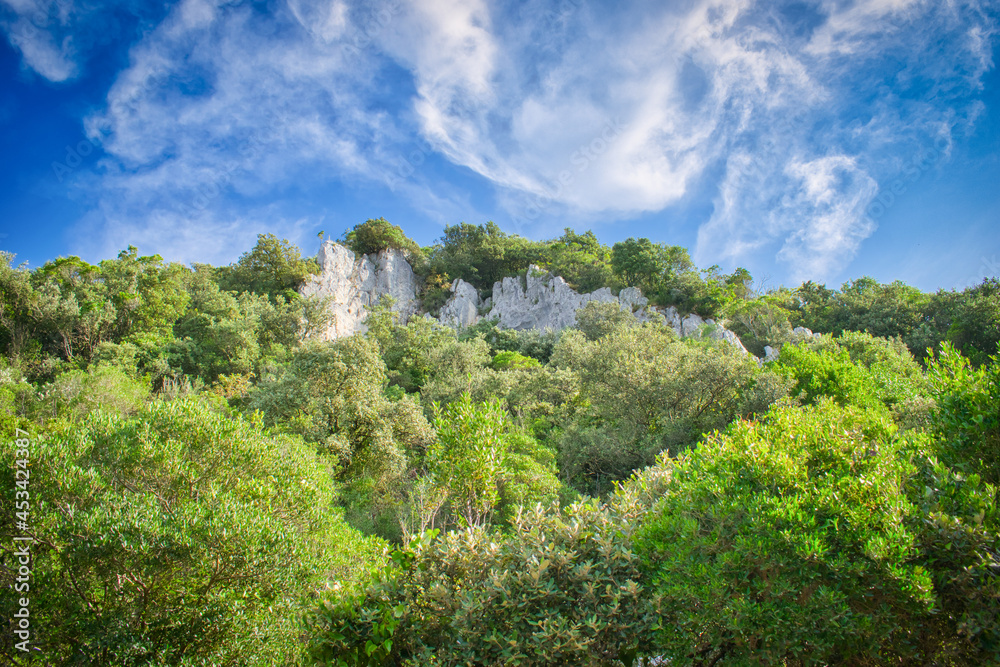 Fototapeta premium Formación rocosa rodeada de árboles en el monte Buciero cerca de la villa de Santoña, España