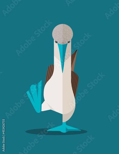 Blue-footed booby