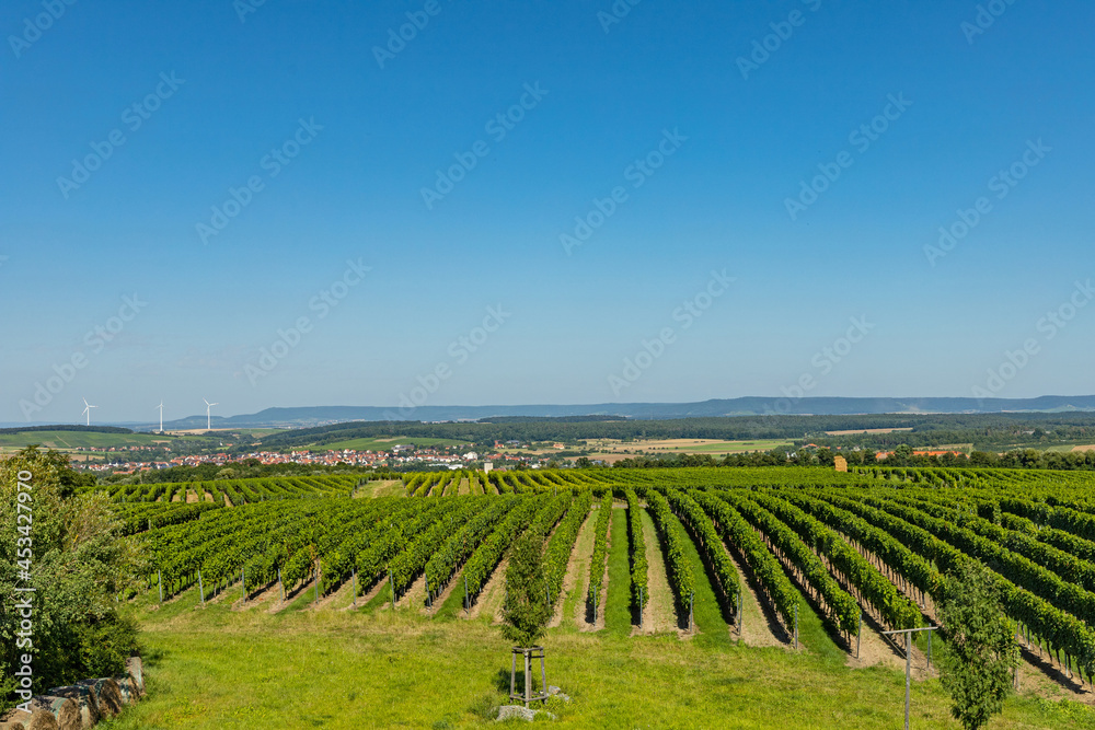 view over vineyards near Nordheim am Main in Franconia