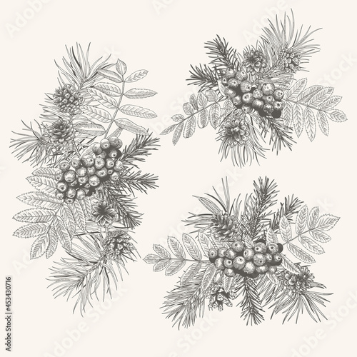 Set of christmas bouquets with conifers and rowan. Black and White.