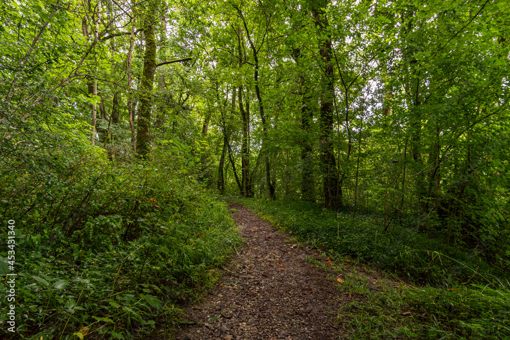 Hike through the Bittelschiesser valley with many caves and the historic Hornstein castle ruins Hike through the Bittelschiesser valley with many caves and the historic Hornstein castle ruins