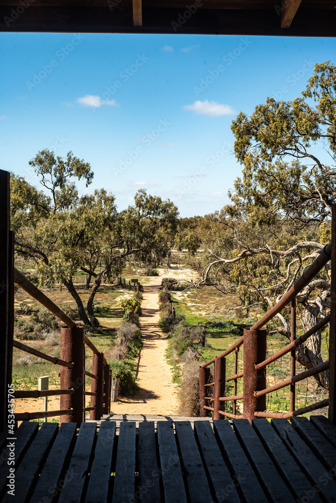 Naklejka premium sheep yards in desert