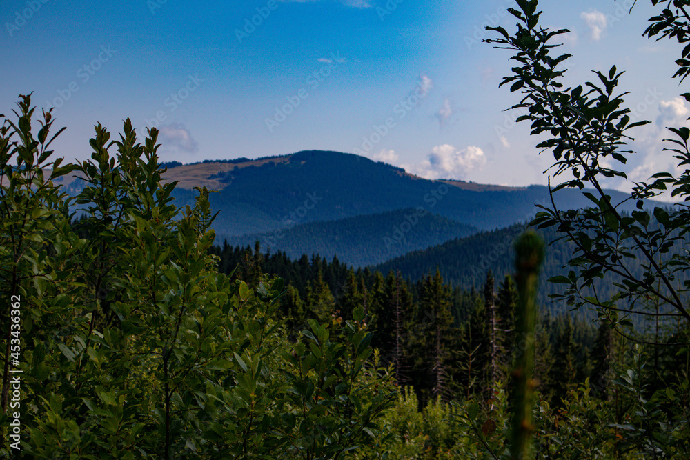 view on carpathians