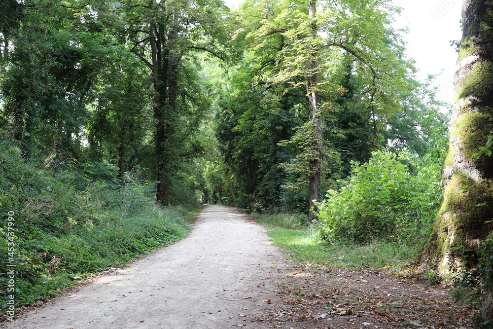 Fototapeta premium Chemin pieton le long de la riviere Clain, ville de Poitiers, departement de la Vienne, France