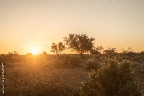 desert sunset