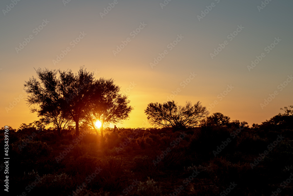Sunset with Kangaroo
