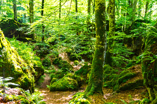 Bosque encantado, Urbasa y Andía