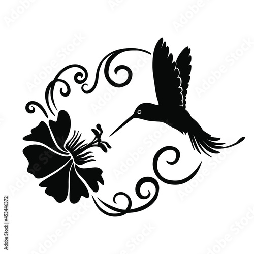 Hand Drawn Hummingbird  Your Design Vinyl Cutting Greeting Cards Vector illustration. Svg colibri cut file