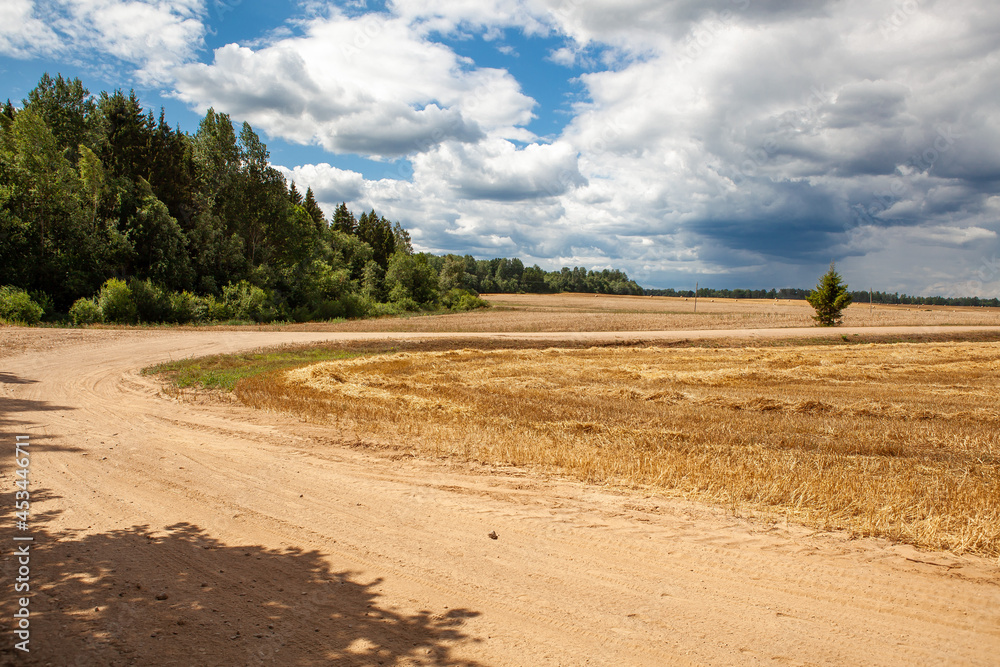 A dirt road turns into a field. A dirt road turns into a field.