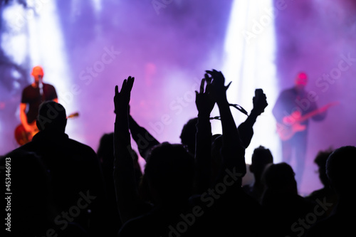 Crowd at concert - summer music festival