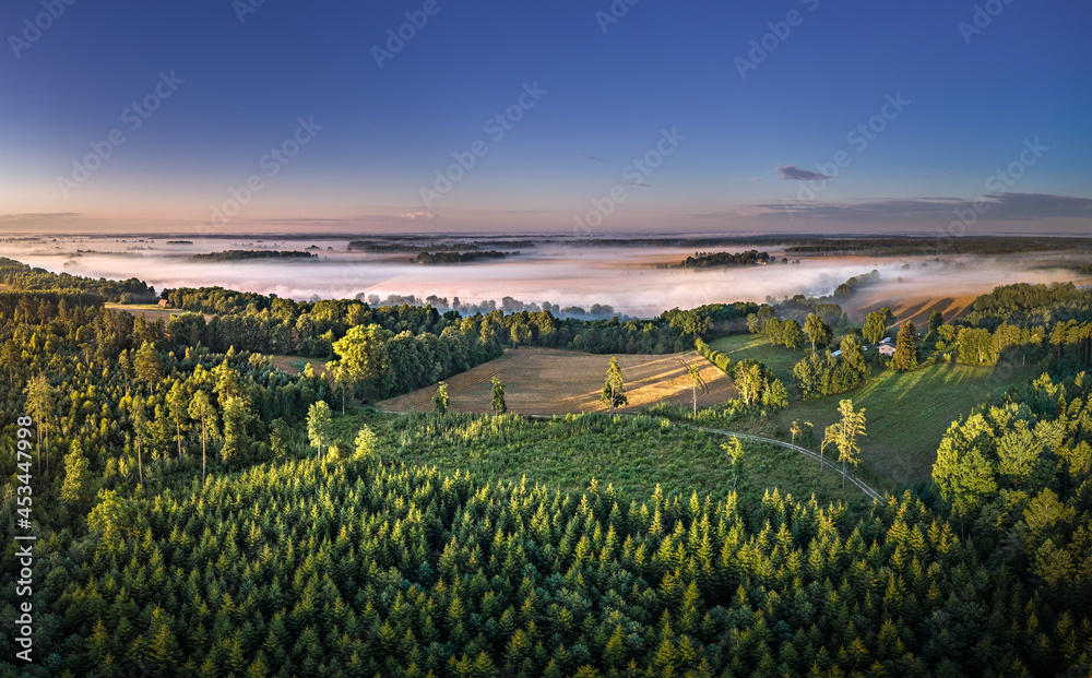 Light rays trough thick fog over a river in a misty summer morning. Rural landscape covered with pine forest and farm land.